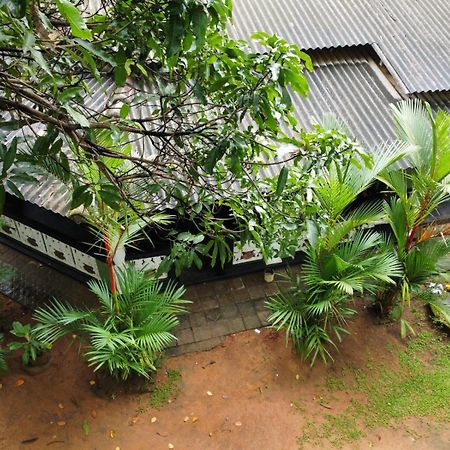 Green Bamboo House Сігірія Екстер'єр фото