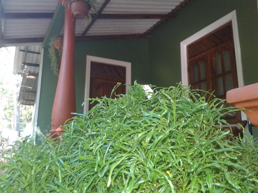 Green Bamboo House Сігірія Екстер'єр фото